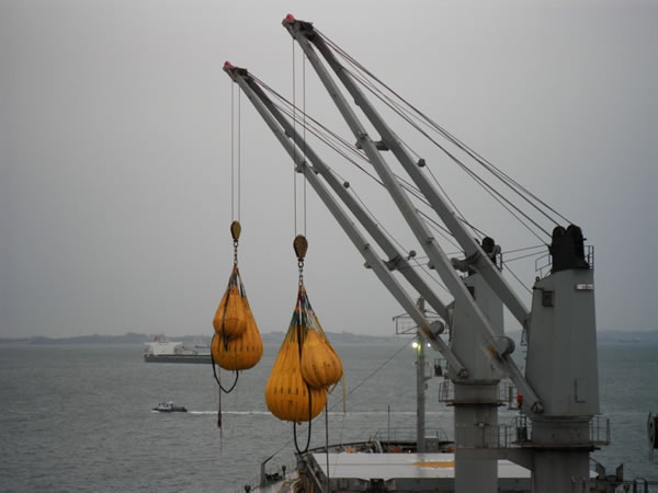 slewing ring application in ship crane 선박 크레인의 슬링 링 애플리케이션