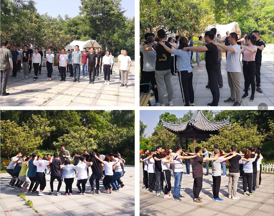 "당신의 노력을 집중시키고 함께 좋은 팀을 구성 "2021 Xuzhou Wanda Sleewing Bearing